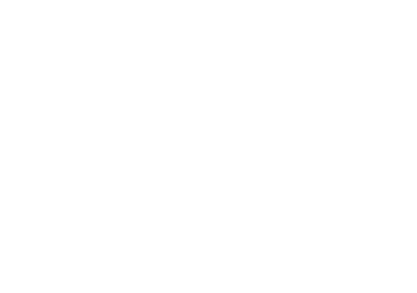Anaconda Corp Screamer logo